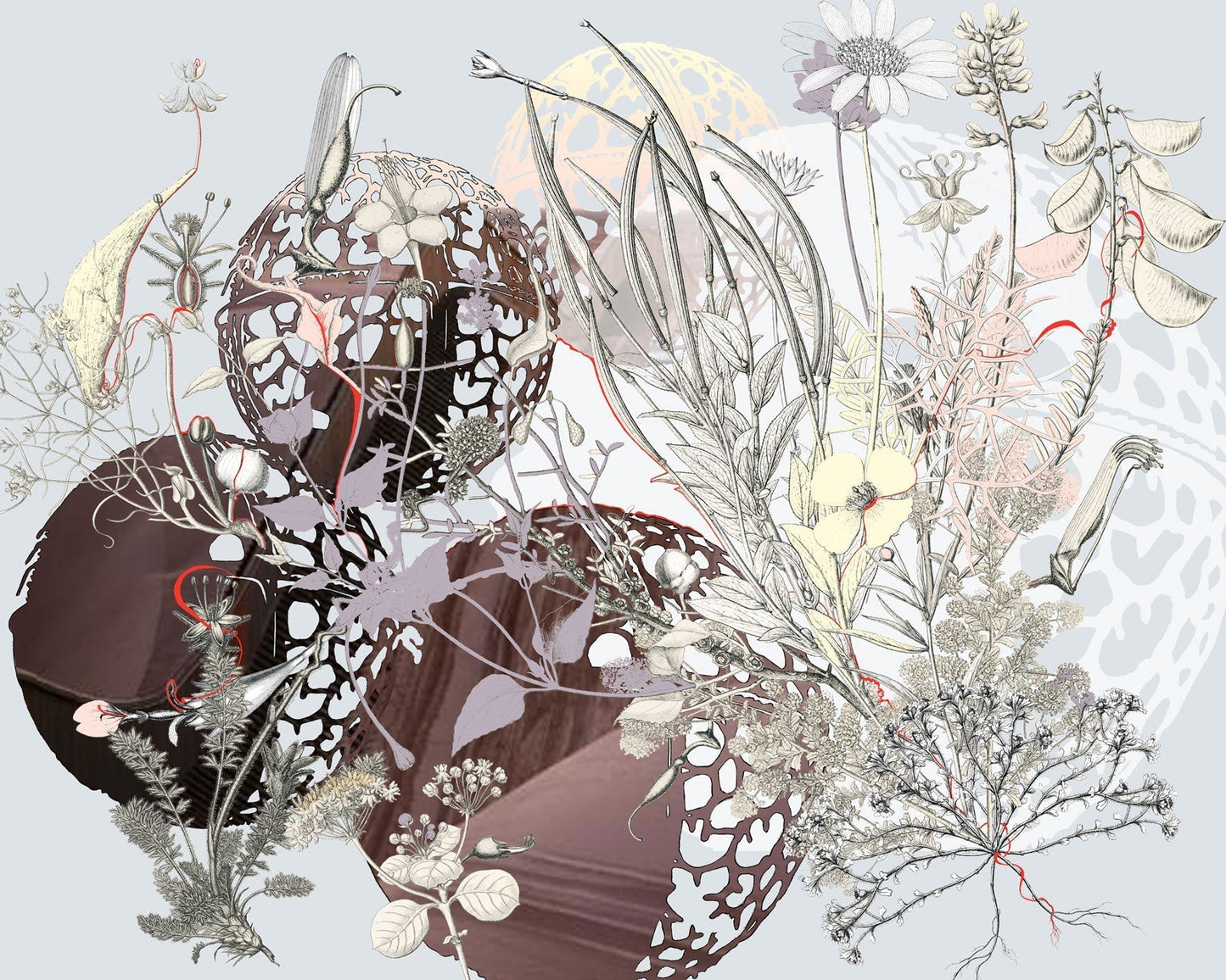 Mara Lonner, But we have so much in common, 2011