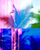 Afrotronic 8409 by Todd Gray (2011), 8/20 (Framed)