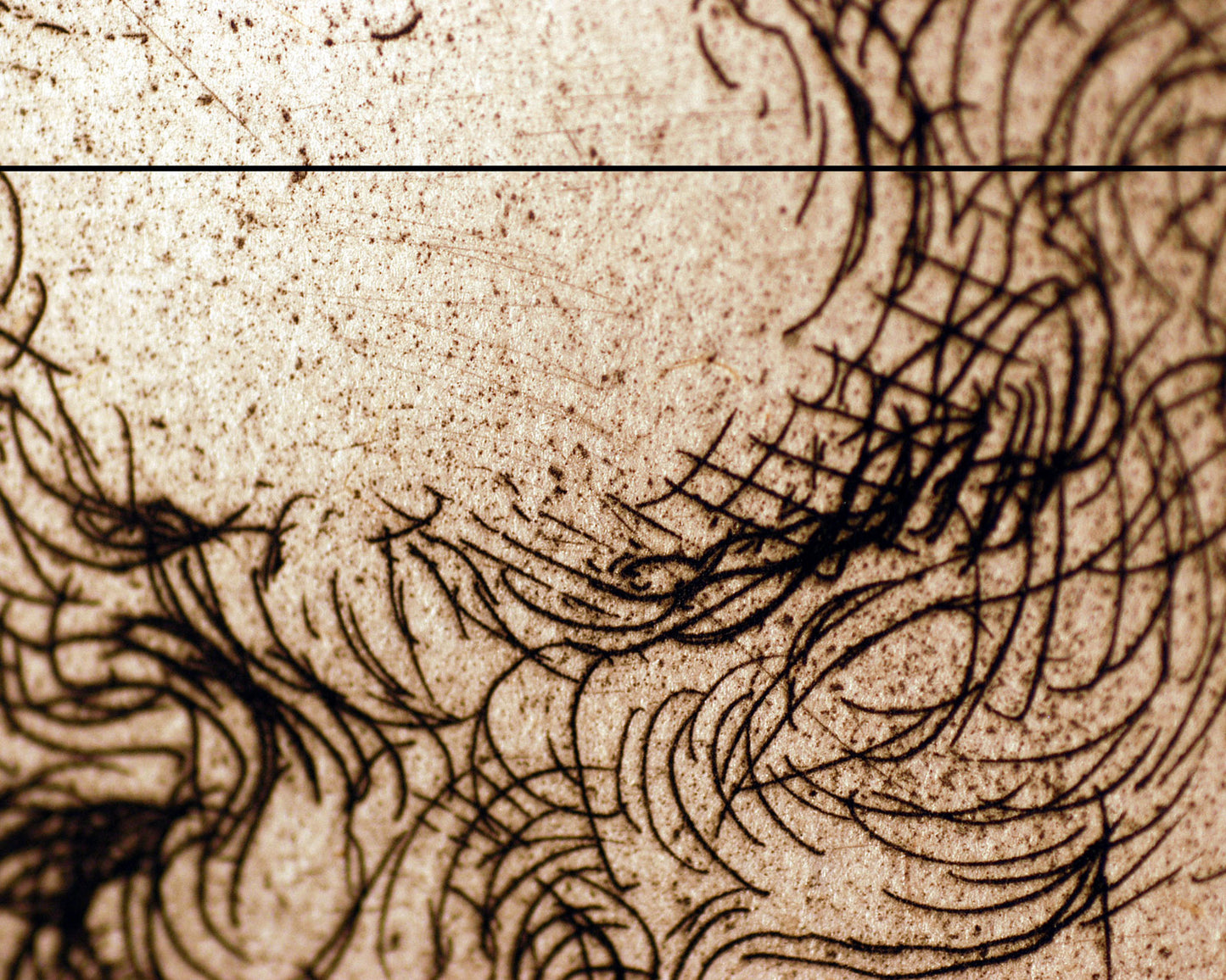 Analía Saban, A Straight Line, 2011